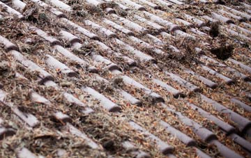 Misterton roof cleaning companies